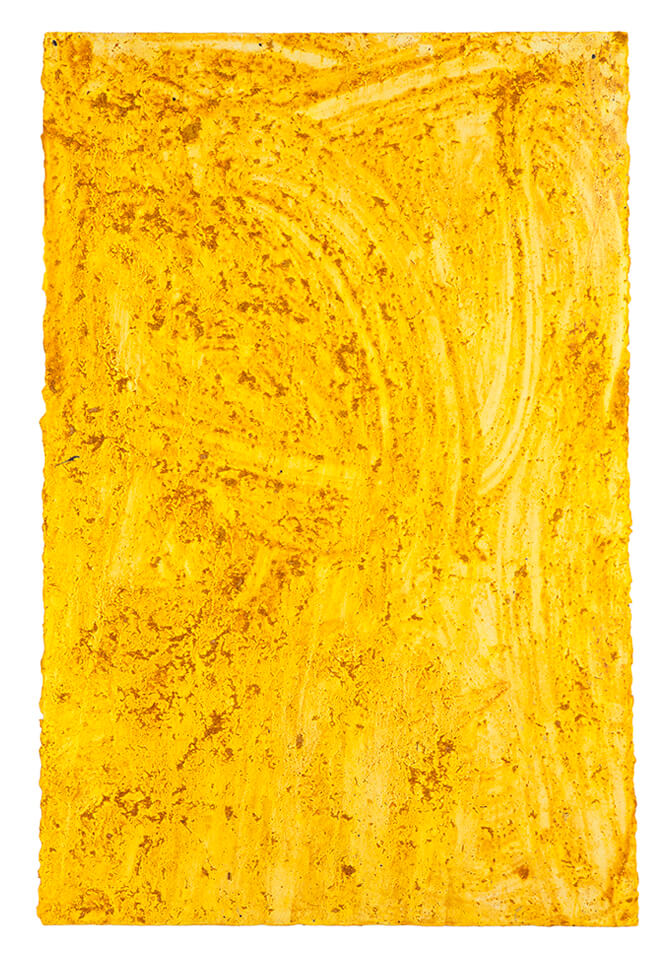 curcuma papel 24.jpg